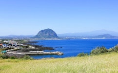 제주도 봄에 산책하기 좋은 송악산둘레길 - (구)제주도여행 - [제주선일] 제주도 여행 관광 여행코스 숙소 정보 가득 카페 제주도 봄에 산책하기... 