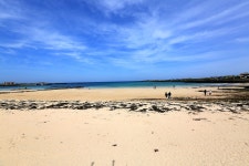 제주도 우도 가볼만한곳 여기만큼은 꼭 추천하고 싶었다하는 7곳 - 제주도여행지 - [제주선일] 제주도 여행 관광 여행코스 숙소 정보 가득 카페... 