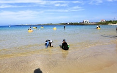 제주도 단독펜션 잔디밭에 애들 물놀이도 할 수 있는 곳 - 제주도숙소 - [제주선일] 제주도 여행 관광 여행코스 숙소 정보 가득 카페 제주도... 