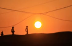 제주 올레길 3코스 맛집과 카페 스탬프 찍는 재미가 2배임 - 제주올레길 - [제주선일] 제주도 여행 관광 여행코스 숙소 정보 가득 카페 제주... 