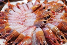 서귀포 회포장 하기도 좋았던곳 배달도 되더군요 - 제주도맛집 - [제주선일] 제주도 여행 관광 여행코스 숙소 정보 가득 카페 서귀포 회포장 하기도... 