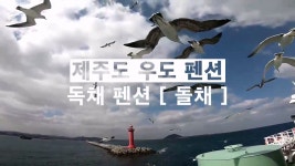 제주도우도펜션 추천 독채 프라이빗 숙소 원하시는분들께 딱 맞는곳 - 제주도숙소 - [제주선일] 제주도 여행 관광 여행코스 숙소 정보 가득 카페... 