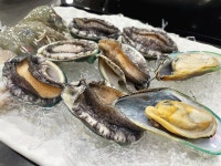 제주 삼도동 샤브샤브집 일맥 돈해물로 먹고왔어요 - 제주도맛집 - [제주선일] 제주도 여행 관광 여행코스 숙소 정보 가득 카페 제주 삼도동... 