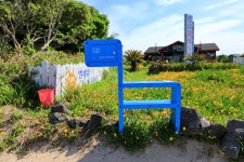 제주 올레길 추천 우도 올레길 1-1코스 1박하며 돌아보기 좋아요 - 제주올레길 - [제주선일] 제주도 여행 관광 여행코스 숙소 정보 가득 카페... 