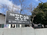 제주시 봉개동 식당 가야포도원 오리불고기 먹어봤어요 - 제주도맛집 - [제주선일] 제주도 여행 관광 여행코스 숙소 정보 가득 카페 제주시 봉개동... 