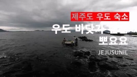 우도바닷가펜션 전객실 바다뷰 일몰도 보고 별도 볼 수 있지요 - 제주도숙소 - [제주선일] 제주도 여행 관광 여행코스 숙소 정보 가득 카페... 