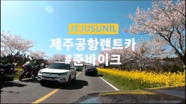 제주공항렌트카 새차위주 배차 전문정비소갖춰서 더욱 좋은곳 - 일상생활정보 - [제주선일] 제주도 여행 관광 여행코스 숙소 정보 가득 카페... 