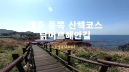 제주 올레길 18코스 산책하기 엄청 좋은 닭머르해안길 - 제주올레길... 숙소 정보 가득 카페 제주 올레길 18코스 산책하기 엄청 좋은 닭머르해안길