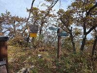 10월13일 영동상주 백화산 - 2024년 산행사진 - 대구k2산악회 백두대간 15차 백진회 10월13일 영동상주 백화산