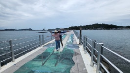 2025-07-12-13(토.일)홍도.흑산도 이틀째05 - ▣ 관 광 앨 범▣ - 여행발전소 2025-07-12-13(토.일)홍도.흑산도 이틀째05