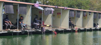 ~~~한주간 조황 정보 공지사항~~~ - 조황 정보 - 당골낚시터 ~~~한주간 조황 정보 공지사항~~~