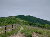 7/5(토)천성산 지푸네골(산행&물놀이) - 7/5(토) 천성산 지푸네골 - 길사랑 어울마당 7/5(토)천성산 지푸네골(산행&물놀이)