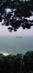 송도해변 산길ㅡ7월20일 월요일 10시 남포동 버스(71, 30) 정류소... 어울마당 송도해변 산길ㅡ7월20일 월요일 10시 남포동 버스(71, 30) 정류소
