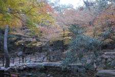 12일(금)상학초교 만덕철학로 금강공원 - 12일(금) 철학로 & 금강공원 - 길사랑 어울마당 12일(금)상학초교 만덕철학로 금강공원