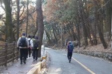 12일(금)상학초교 만덕철학로 금강공원 - 12일(금) 철학로 & 금강공원 - 길사랑 어울마당 12일(금)상학초교 만덕철학로 금강공원