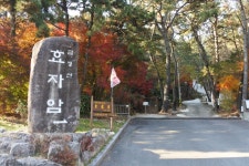 12일(금)상학초교 만덕철학로 금강공원 - 12일(금) 철학로 & 금강공원 - 길사랑 어울마당 12일(금)상학초교 만덕철학로 금강공원