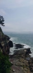 송도해변 산길ㅡ7월20일 월요일 10시 남포동 버스(71, 30) 정류소... 어울마당 송도해변 산길ㅡ7월20일 월요일 10시 남포동 버스(71, 30) 정류소