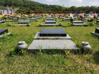 🌿 나는 누구에게 전화할까? - ***☆ 좋 은 글 - 천주교 수원교구 여주성당 🌿 나는 누구에게 전화할까?