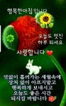 🌼좋은 인연 아름다운 삶~^^🌼 - 세상사는 이야기 - 🍃행복&동행🍂 🌼좋은 인연 아름다운 삶~^^🌼
