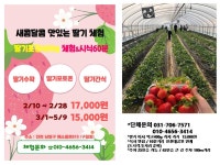 2025 딸기체험 15 ,000원 /400g 가져가기 /(딸기수확+딸기포토존+딸기간식) 인천 남동구 매소홀로 810(구월동) - 이 달의 추천 체험학습... 