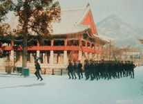 총독부 건물에 가려진 경복궁 - 일반 게시판 - 수성최씨 무숙공파(隋城崔氏 武肅公派) 총독부 건물에 가려진 경복궁