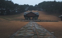 왕릉 이야기-4 東九陵(동구릉) 안내 - 조선의 왕릉 - 수성최씨 무숙공파(隋城崔氏 武肅公派) 왕릉 이야기-4 東九陵(동구릉) 안내
