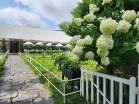 기타 - 자유게시판 - 대야시스템(주) *헬스케어팀* 대야시스템(주)  *헬스케어팀*