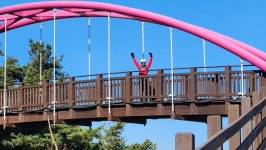 본리임도 송해공원 라이딩 - ♨ 탐방 앨범 - mtb문화탐방 본리임도 송해공원 라이딩