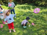 자연학교 - 하루리듬생활 - 별아이어린이집(발도르프 교육을 지향하는 원입니다.) 자연학교
