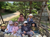 2026.06.05 자연학교 - 하루리듬생활 - 별아이어린이집(발도르프 교육을 지향하는 원입니다.) 2026.06.05 자연학교