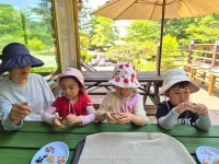 2026.05.15 자연학교 - 하루리듬생활 - 별아이어린이집(발도르프 교육을 지향하는 원입니다.) 2026.05.15 자연학교