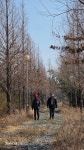 [평택섶길 완주 걷기여행 _ 원효길] - 카페 앨범 - 평택섶길 [평택섶길 완주 걷기여행 _ 원효길]