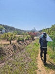 500리 걷기여행 사진 - 진위현길(4월25일) - 평택섶길 500리 걷기방 - 평택섶길 500리 걷기여행 사진 - 진위현길(4월25일)
