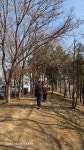 [평택섶길 완주 걷기여행 _ 시내길] - 카페 앨범 - 평택섶길 [평택섶길 완주 걷기여행 _ 시내길]