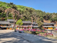 500리 걷기여행 사진 - 무봉산둘레길(4월25일) - 평택섶길 500리 걷기방 - 평택섶길 500리 걷기여행 사진 - 무봉산둘레길(4월25일)