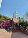 500리 걷기여행 사진 - 진위현길(4월25일) - 평택섶길 500리 걷기방 - 평택섶길 500리 걷기여행 사진 - 진위현길(4월25일)