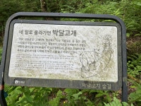 KTA 인제 천리길 10코스 은비령길(6월6일), 2-1코스 읍내가던길, (6월7일) - KTA방 - 평택섶길 KTA 인제 천리길 10코스 은비령길(6월6일), 2... 