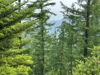 KTA 인제 천리길 10코스 은비령길(6월6일), 2-1코스 읍내가던길, (6월7일) - KTA방 - 평택섶길 KTA 인제 천리길 10코스 은비령길(6월6일), 2... 