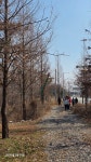 [평택섶길 완주 걷기여행 _ 원효길] - 카페 앨범 - 평택섶길 [평택섶길 완주 걷기여행 _ 원효길]