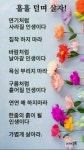 중년ㅡ박상민 노래ㅡ아름당다운 꽃영상 - 영상 가요 팝 방 - 서울산이조아 중년ㅡ박상민 노래ㅡ아름당다운 꽃영상