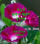 노년의 친구 이야기ㅡ노년의 친구ㅡ어느 노인이 ㅡ개구리 한 마리를... ㅡ - 경운아에 사랑방 - 서울산이조아 노년의 친구 이야기ㅡ노년의... 