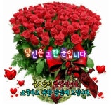 보고싶어서 ㅡ정 다한 노래ㅡ 아름다운 꽃이미지 영상ㅡ당신의 생일을 축하해요 ㅡ - 영상 가요 팝 방 - 서울산이조아 보고싶어서 ㅡ정 다한... 