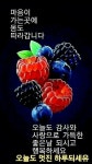 6월한달 수고 하셨읍니다ㅡ행복한 7월 기대합니다ㅡ - ○ 아름다운/이미지 - 서울산이조아 6월한달 수고 하셨읍니다ㅡ행복한 7월 기대합니다ㅡ