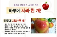 네박자ㅡ나훈아노래ㅡ이미지ㅡ영상입니다 - 영상 가요 팝 방 - 서울산이조아 네박자ㅡ나훈아노래ㅡ이미지ㅡ영상입니다