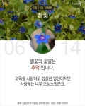 당신이 태어난 날엔ㅡ4월 ~6월ㅡ무슨 꽃이 피었나요?2ㅡ 태어난달과 날자ㅡ날자별 탄생화 꽃말 ㅡ흰색은 행복한 본성ㅡ자주색은 첫사랑ㅡ... 