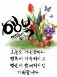 천년지기ㅡ미스터 팡 노래ㅡ 올림픽 광장 ㅡ산책 영상입니다ㅡ - 영상 가요 팝 방 - 서울산이조아 천년지기ㅡ미스터 팡 노래ㅡ 올림픽 광장... 