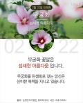 당신이 태어난 날엔ㅡ1월 ~3월 ㅡ무슨 꽃이 피었나요?1ㅡ태어난달과 날자ㅡ날자별 탄생화 꽃말 ㅡ 흰색은 행복한 본성ㅡ자주색은 첫사랑ㅡ... 
