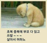 복날의 애환 송천골이 안전할까 싶네~~ 건강하게 복날 나세요... 서울산이조아 복날의 애환 송천골이 안전할까 싶네~~ 건강하게 복날 나세요~^^