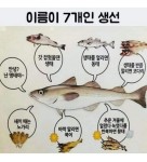 서울산이조아 이름이 7개인 생선ㅡ안녕 난 명태야ㅡ갓 잡았을때 생태ㅡ생태를 얼리면 동태 ㅡ생태를 반쯤 말리면 코다리 ㅡ새끼때는 노가리... 