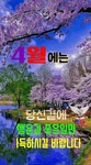 꽁짜ㅡ강진 노래ㅡ4월의첫날 만우절 작별인사ㅡ4월의 첫날 이미지 ㅡ - 경운아에 사랑방 - 서울산이조아 꽁짜ㅡ강진 노래ㅡ4월의첫날 만우절... 